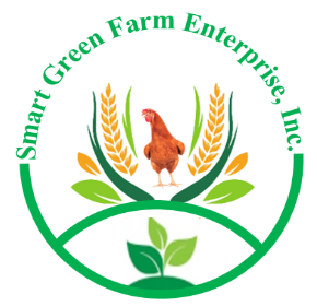 cropped-Smart-Green-logo.png